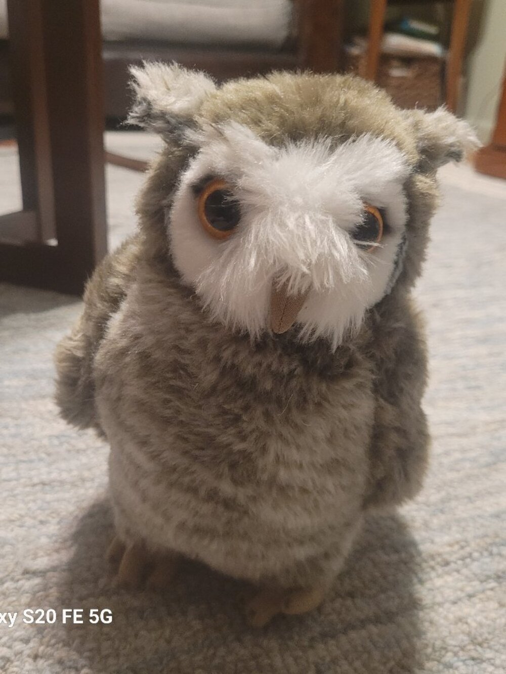 Harry Potter Pidwidgeon owl